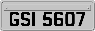 GSI5607