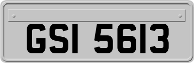 GSI5613