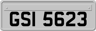 GSI5623