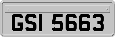 GSI5663