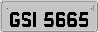 GSI5665
