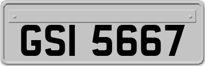 GSI5667