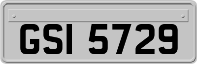 GSI5729
