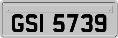 GSI5739