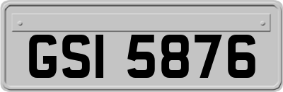 GSI5876