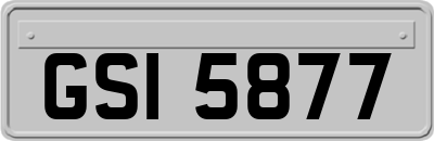 GSI5877