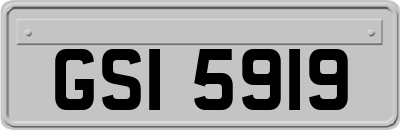 GSI5919