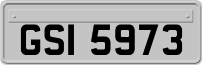 GSI5973