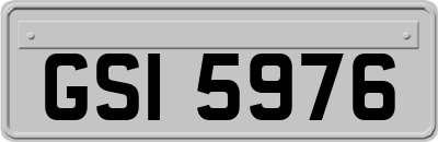 GSI5976