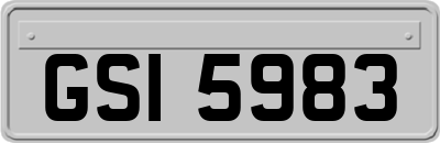 GSI5983
