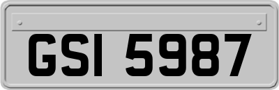 GSI5987