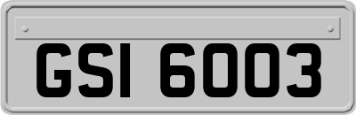 GSI6003