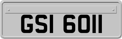 GSI6011