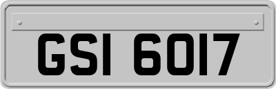 GSI6017