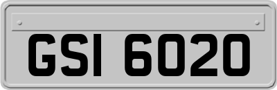 GSI6020