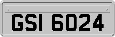 GSI6024