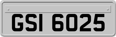 GSI6025