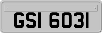 GSI6031