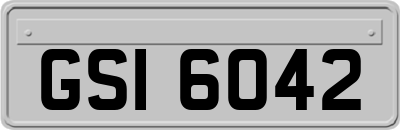 GSI6042