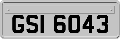 GSI6043