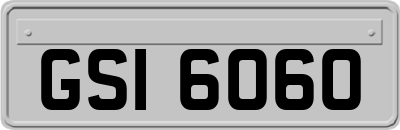 GSI6060