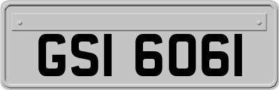 GSI6061