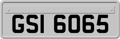 GSI6065