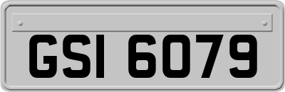GSI6079