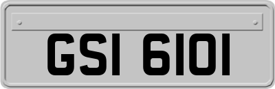 GSI6101