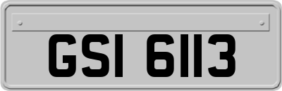 GSI6113