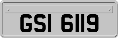 GSI6119