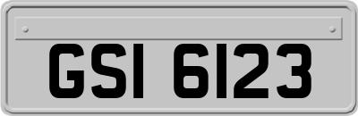 GSI6123