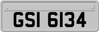 GSI6134