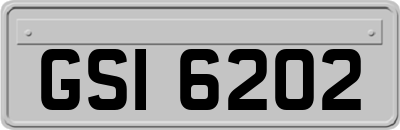 GSI6202