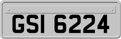 GSI6224