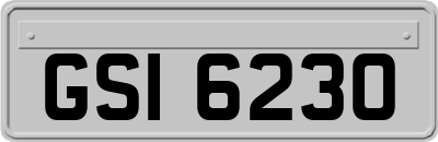 GSI6230