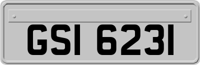 GSI6231