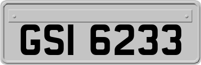 GSI6233