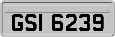 GSI6239