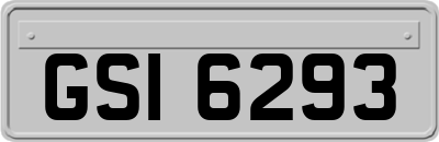 GSI6293