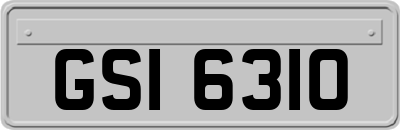 GSI6310