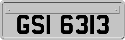 GSI6313
