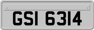 GSI6314