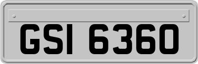 GSI6360