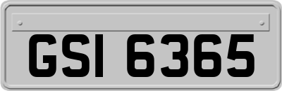 GSI6365