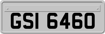 GSI6460
