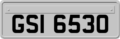 GSI6530