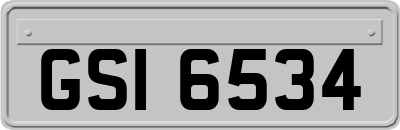 GSI6534