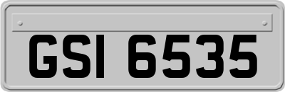 GSI6535