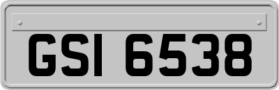 GSI6538